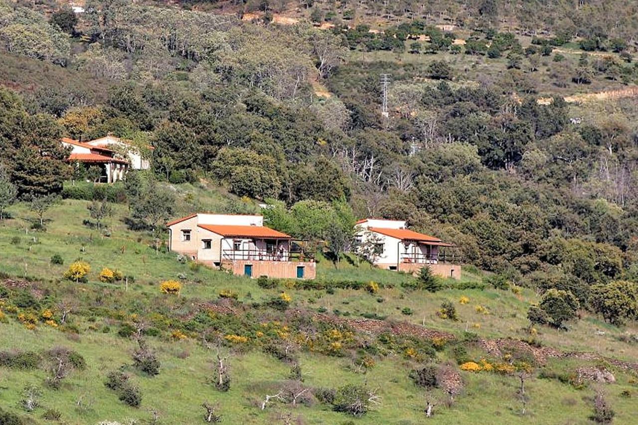 Cielo Abierto Apartamento Berzocana Exterior foto